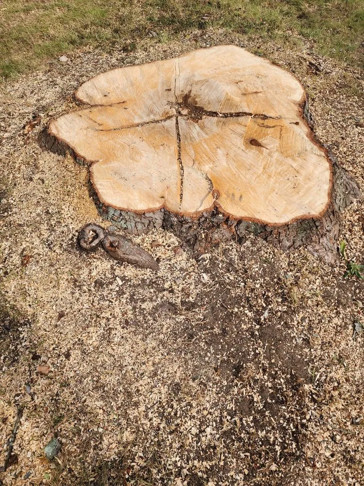 Custom garden landscaping for outdoor upgrades in Riverdale, MD by Green Woods Sawmill & Tree Service