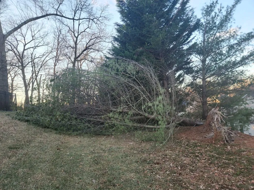 Top-rated landscape design in Riverdale, MD by Green Woods Sawmill & Tree Service