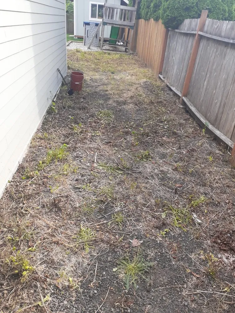 Local landscape installation for beautiful yards in Molalla, OR by Green Work