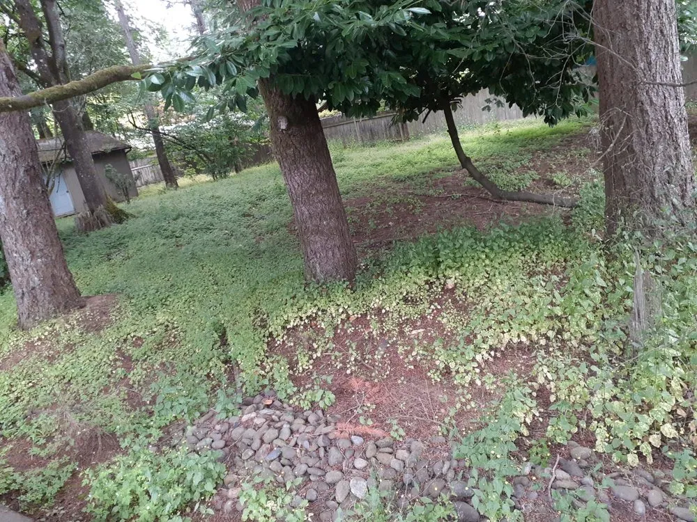 Expert outdoor landscaping in Molalla, OR by Green Work