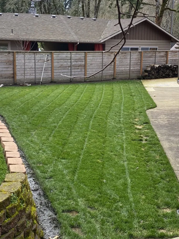 Affordable yard cleanup service in Molalla, OR - Green Work