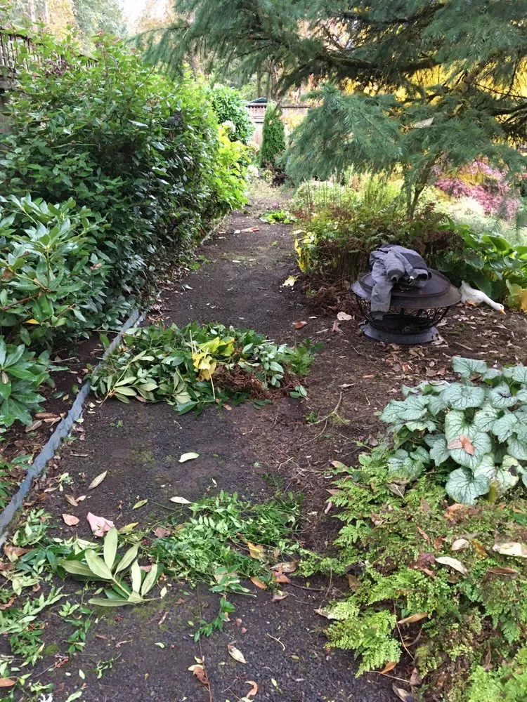 Custom yard cleanup service for year-round maintenance across Molalla, OR - Green Work