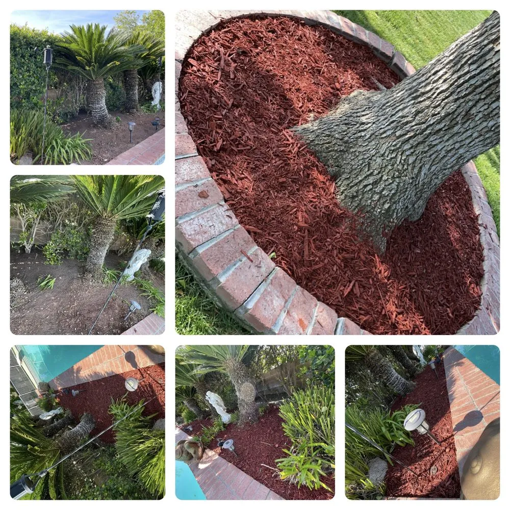 Expert lawn mowing service for year-round maintenance in Bakersfield, CA by Green Works