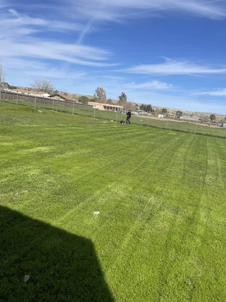 Top-rated residential landscaping in Bakersfield, CA by Green Works