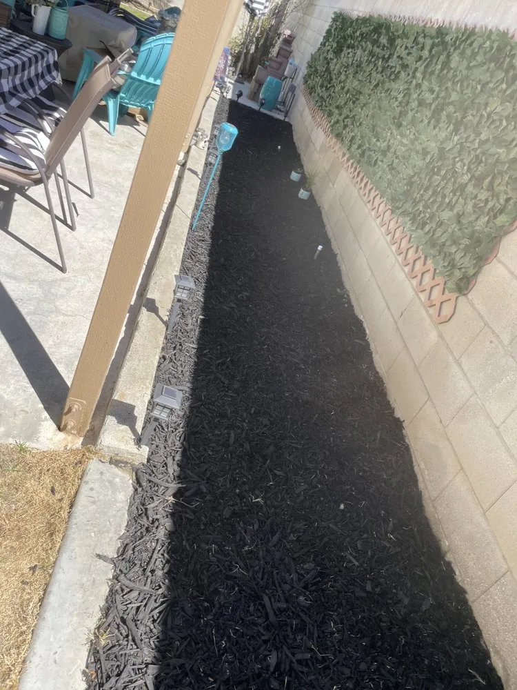 Affordable outdoor landscaping in Bakersfield, CA by Green Works