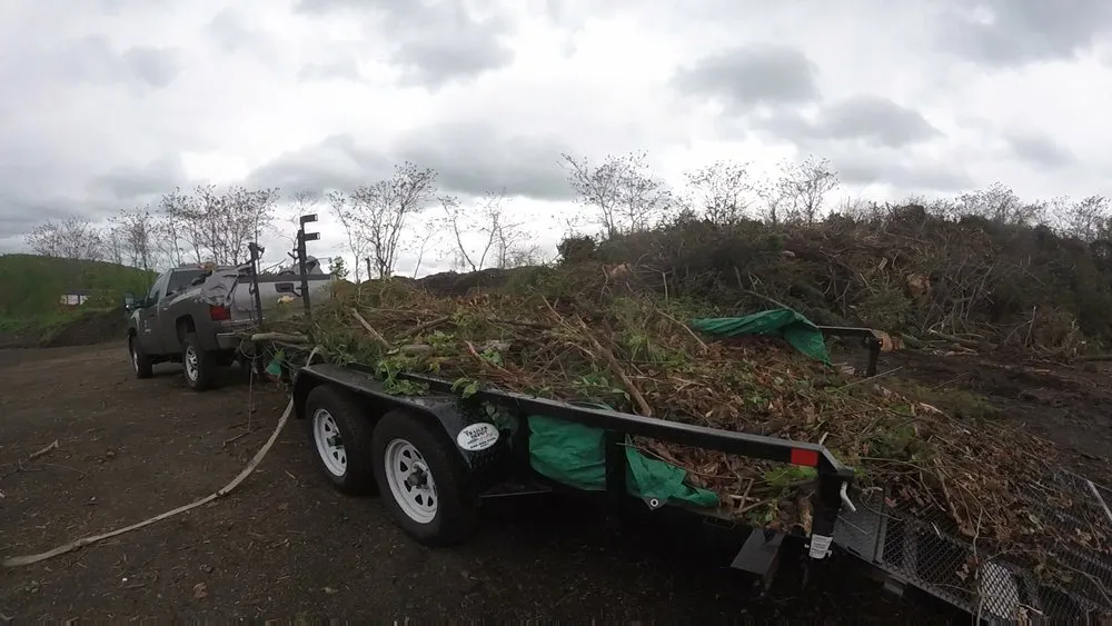Trusted yard maintenance for beautiful yards in East Berlin, CT by Green Works