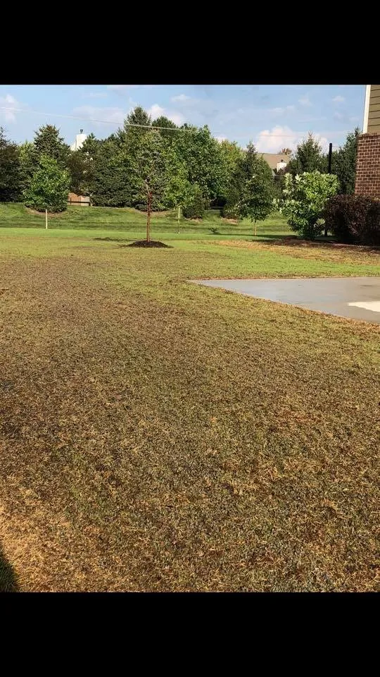 Professional residential landscaping in Carmel, IN by Green Works Lawn Care