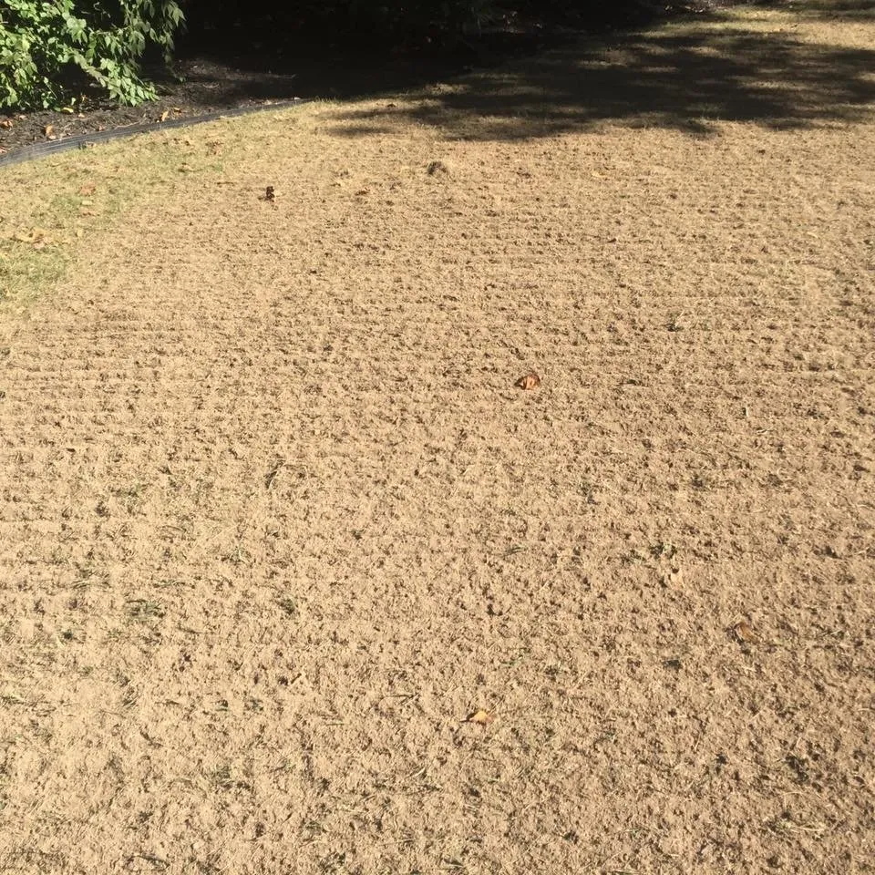 Custom landscape design in Carmel, IN - Green Works Lawn Care