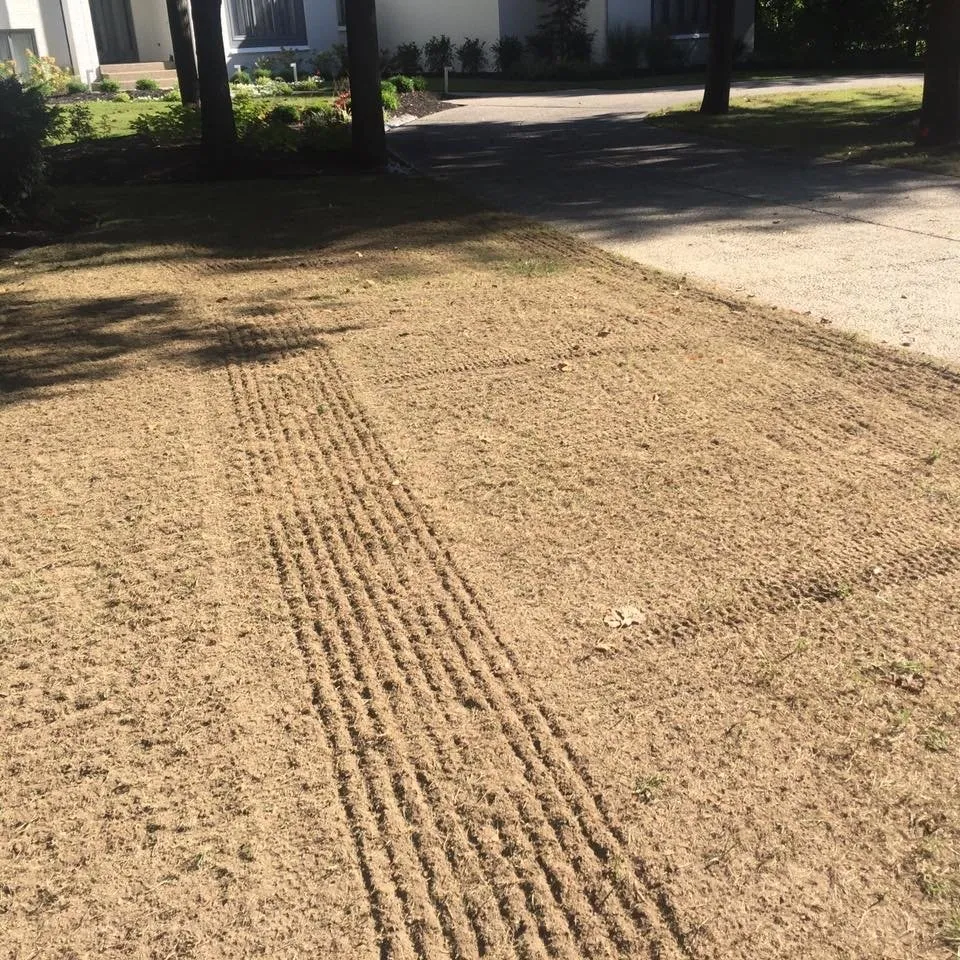 Top-rated residential landscaping for beautiful yards in Carmel, IN by Green Works Lawn Care