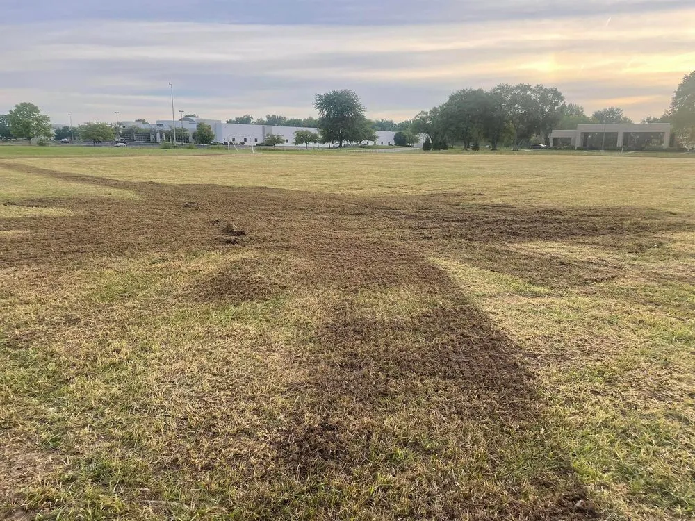 Professional yard maintenance in Carmel, IN - Green Works Lawn Care