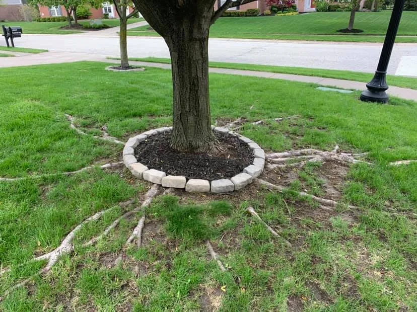 Reliable landscaping services in Carmel, IN - Green Works Lawn Care