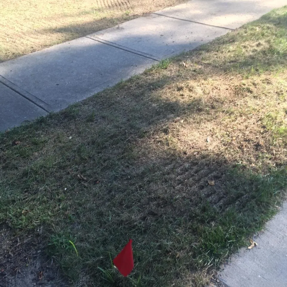 Reliable residential landscaping experts serving Carmel, IN - Green Works Lawn Care