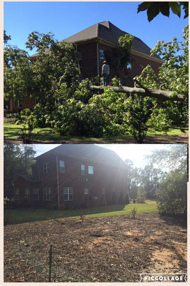 Professional landscaping services in Fayetteville, NC - Green Works Lawn&Tree Service