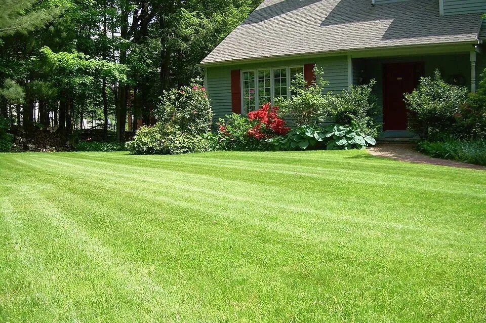 Professional landscaping services in Fayetteville, NC - Green Works Lawn&Tree Service