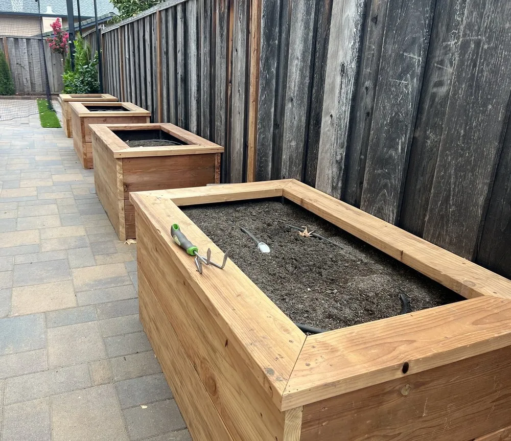 Reliable yard maintenance for year-round maintenance across Concord, CA - Green World Landscape