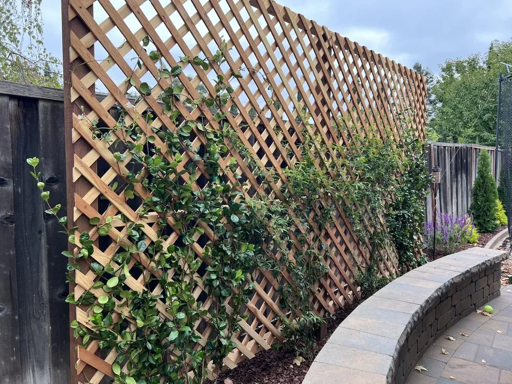 Expert yard cleanup service in Concord, CA by Green World Landscape