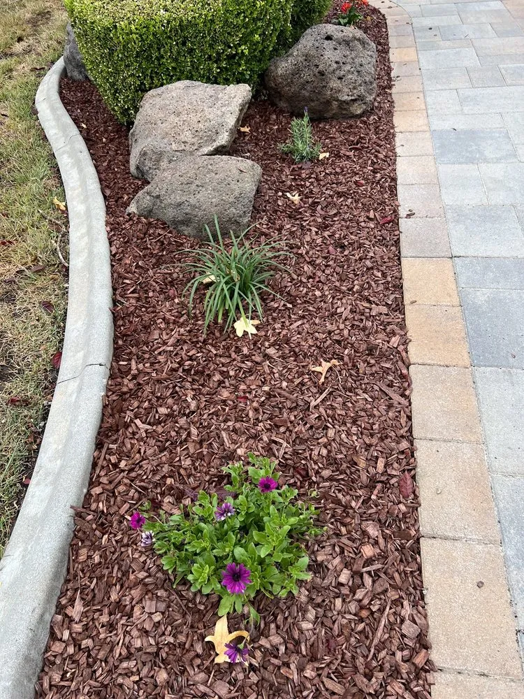 Expert yard maintenance in Concord, CA - Green World Landscape