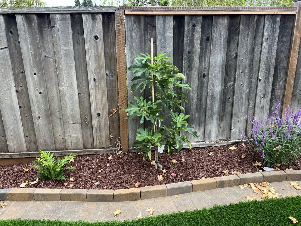 Professional landscape installation for homes in Concord, CA by Green World Landscape