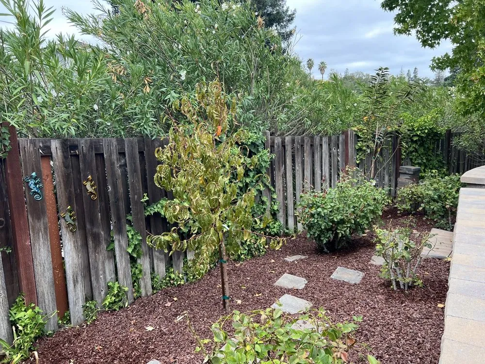 Professional garden landscaping with custom design across Concord, CA - Green World Landscape