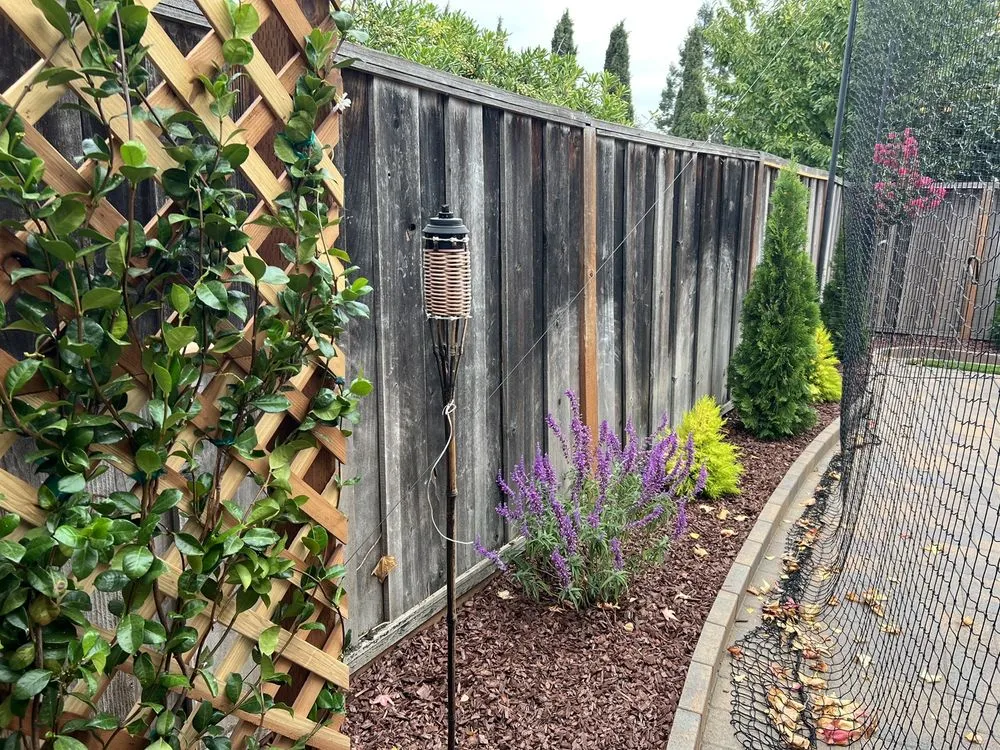 Local lawn care service experts serving Concord, CA - Green World Landscape