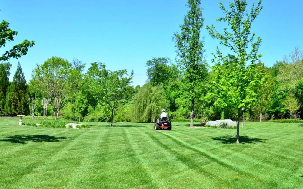 Top-rated lawn mowing service in Montclair, NJ by Green World Landscapers