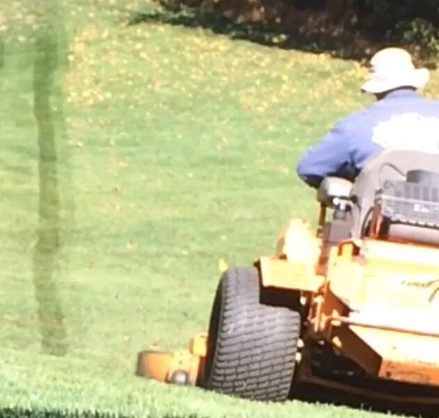 Expert outdoor landscaping experts serving Bound Brook, NJ - Green World Landscaping & Tree Service