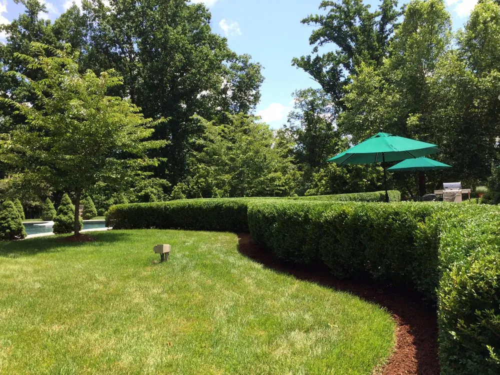 Top-rated lawn care service in Bound Brook, NJ by Green World Landscaping & Tree Service