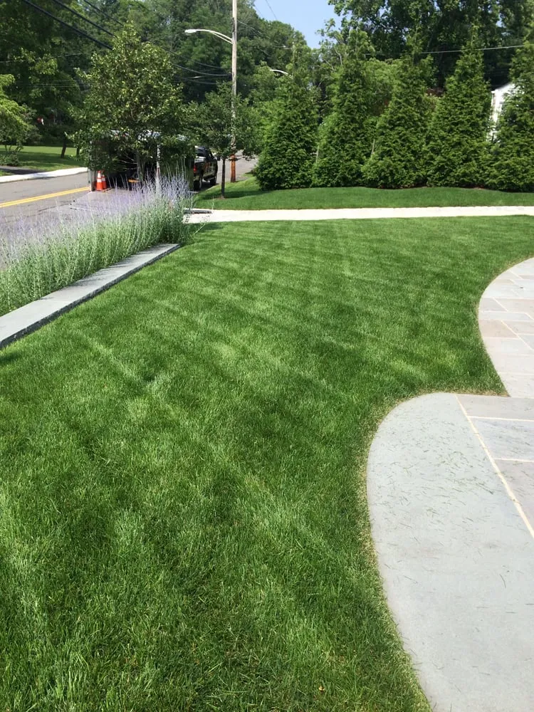 Top-rated yard cleanup service in Bound Brook, NJ by Green World Landscaping & Tree Service