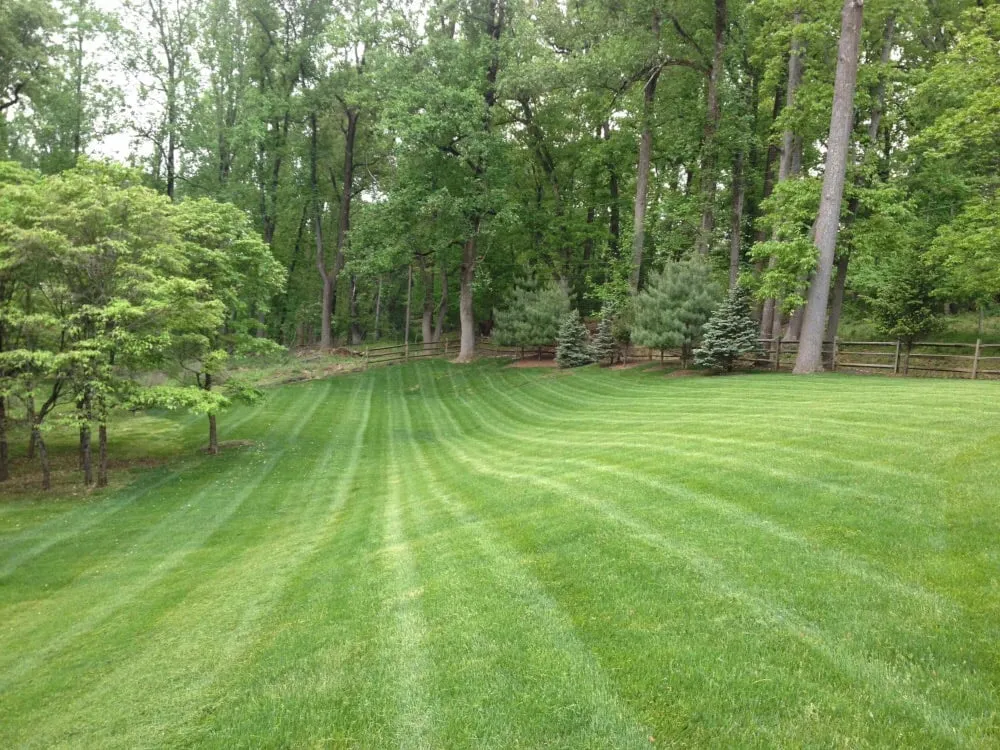 Trusted landscaping services in Bound Brook, NJ by Green World Landscaping & Tree Service