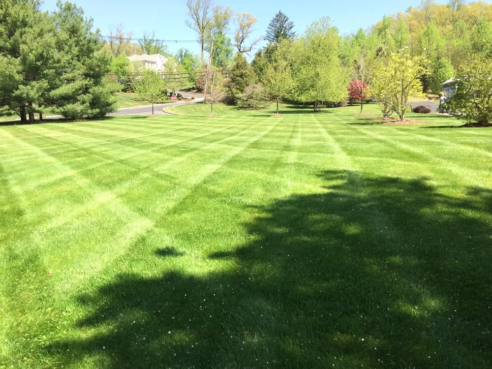 Expert outdoor landscaping experts serving Bound Brook, NJ - Green World Landscaping & Tree Service