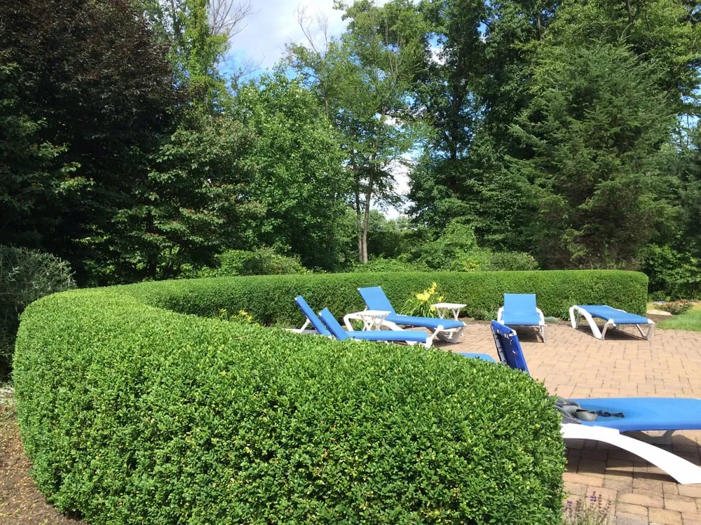 Top-rated landscape design in Bound Brook, NJ by Green World Landscaping & Tree Service