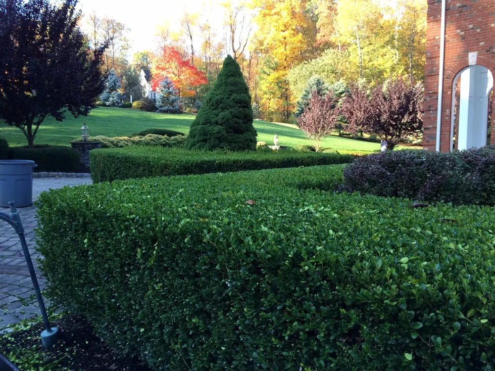 Professional outdoor landscaping in Bound Brook, NJ - Green World Landscaping & Tree Service