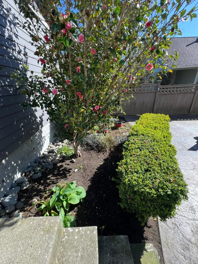 Reliable yard maintenance in Everett, WA - Green World Landscaping