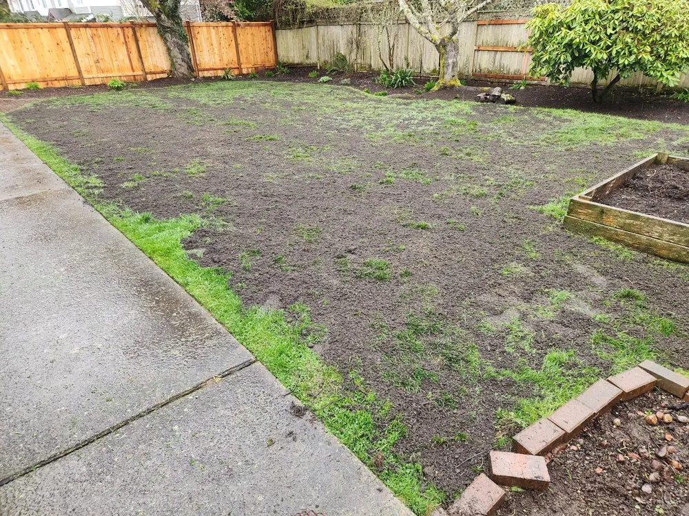 Expert landscape installation near you across Everett, WA - Green World Landscaping