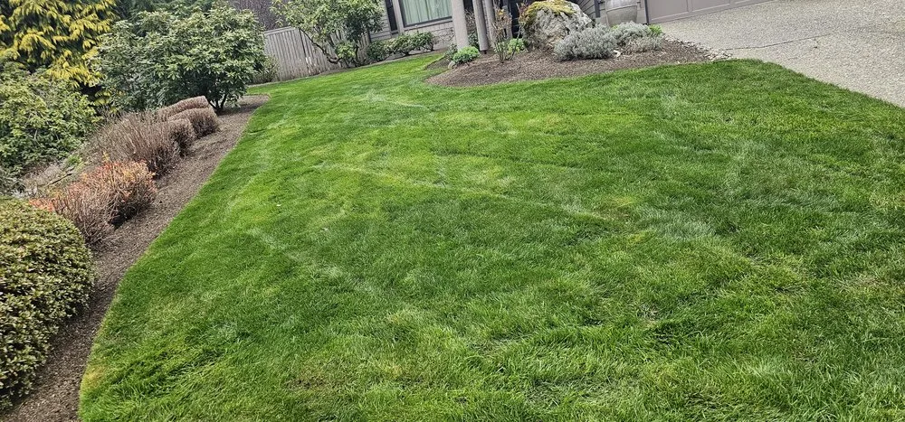 Expert landscaping services in Everett, WA - Green World Landscaping