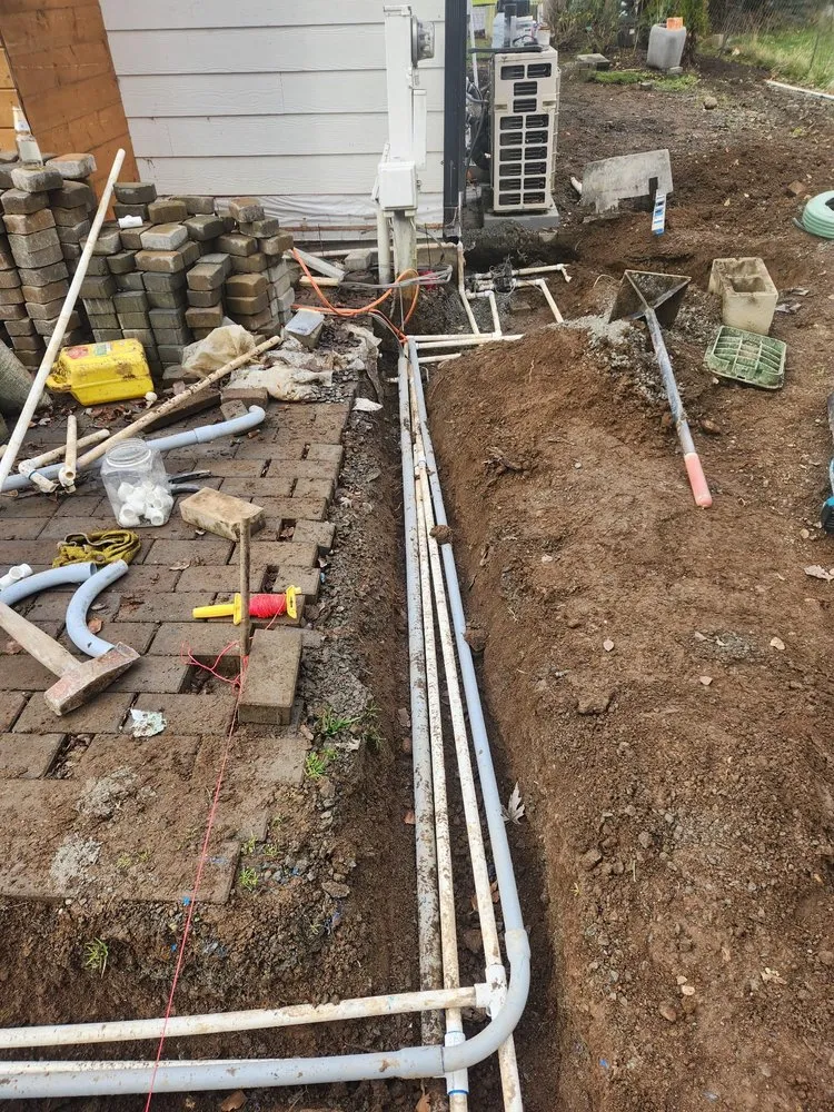 Trusted yard cleanup service in Everett, WA - Green World Landscaping