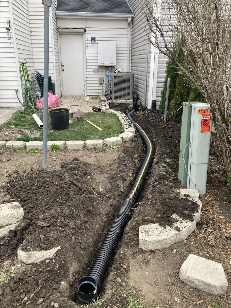 Local yard cleanup service in Lisle, IL by Green World Landscaping Service