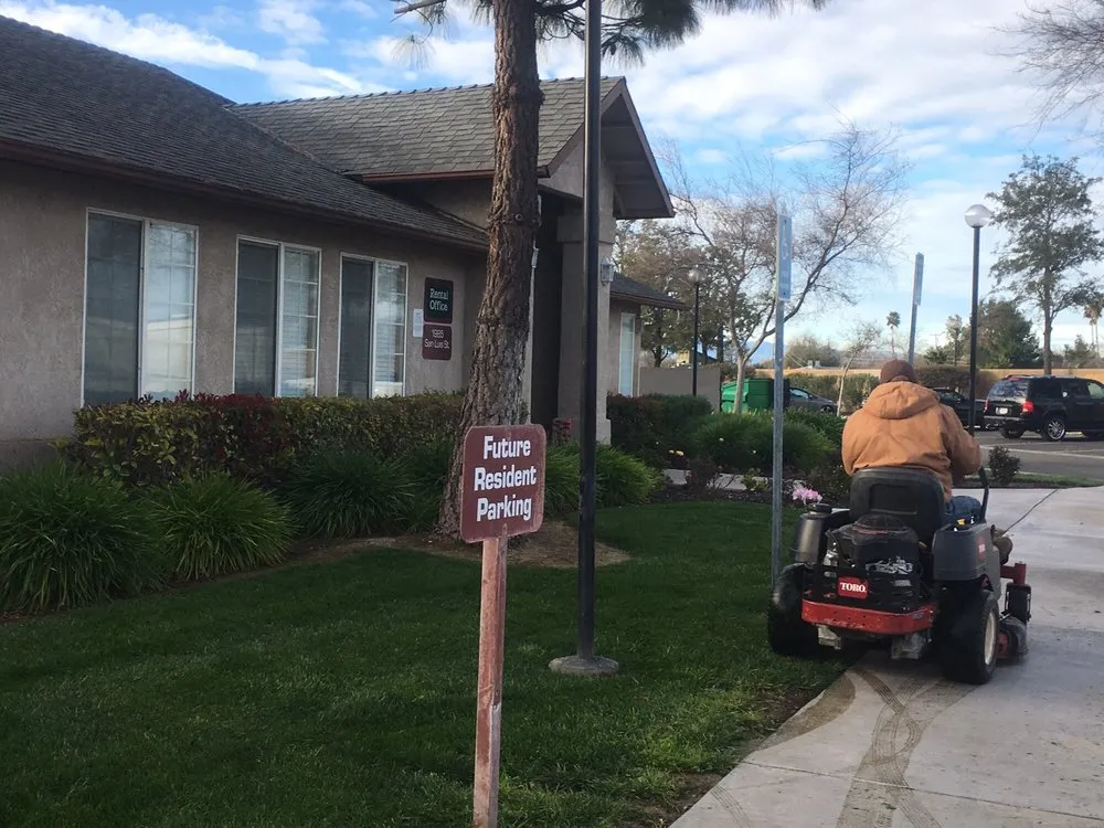 Custom yard cleanup service for beautiful yards in Madera, CA by Green World Landscaping Service