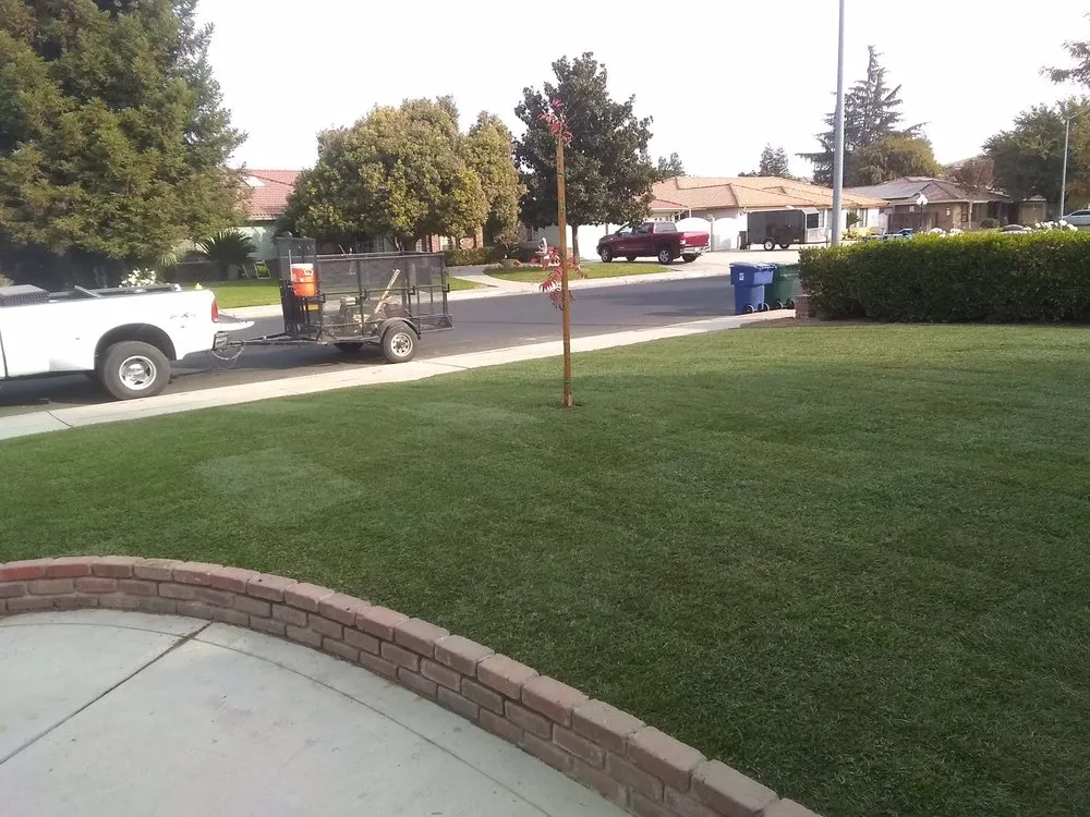 Trusted yard cleanup service in Madera, CA by Green World Landscaping Service
