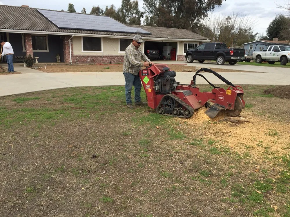 Top-rated landscape design experts serving Madera, CA - Green World Landscaping Service