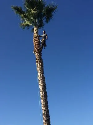 Green World Landscaping Service Logo