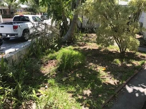 Trusted landscape design for beautiful yards in Key West, FL by Green World of Key West