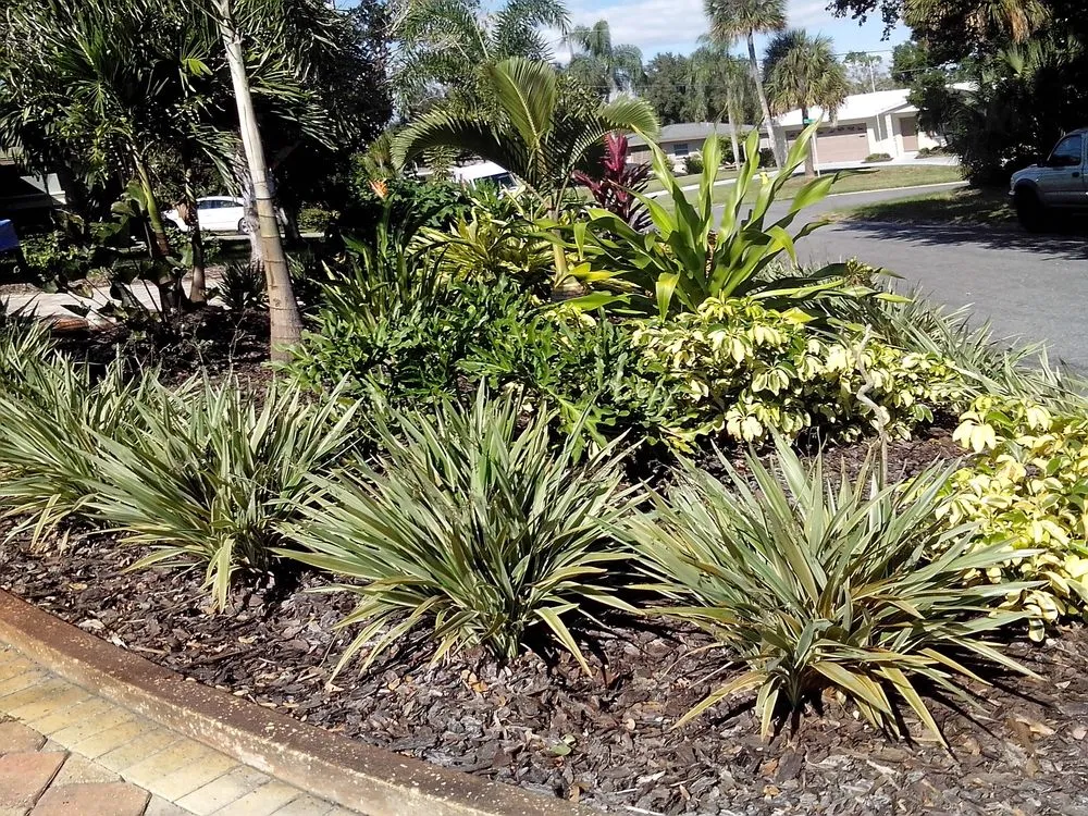Custom yard maintenance in Saint Petersburg, FL - Green World Pavers Landscaping