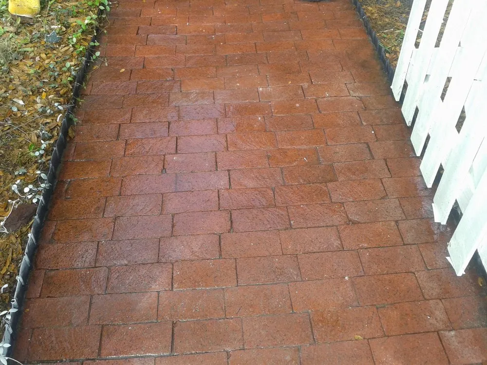 Top-rated lawn care service experts serving Saint Petersburg, FL - Green World Pavers Landscaping