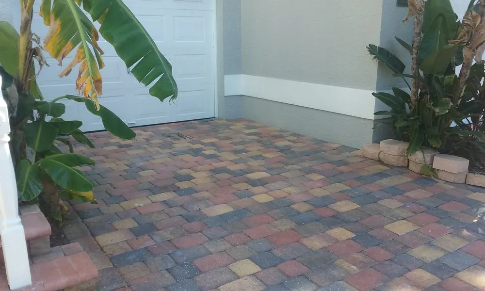 Expert lawn care service in Saint Petersburg, FL by Green World Pavers Landscaping