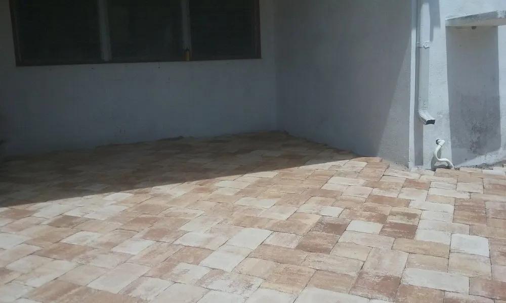 Local yard maintenance experts serving Saint Petersburg, FL - Green World Pavers Landscaping