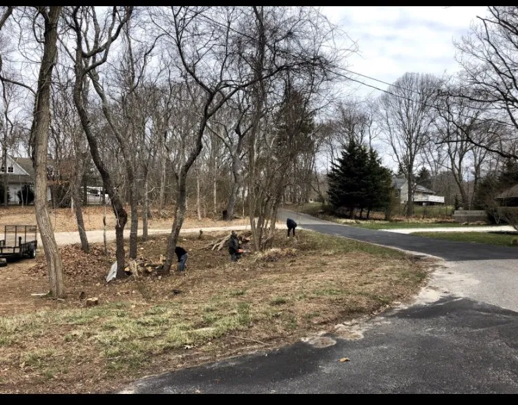 Affordable landscaping services for year-round maintenance in Shelter Island, NY by Green World Solutions