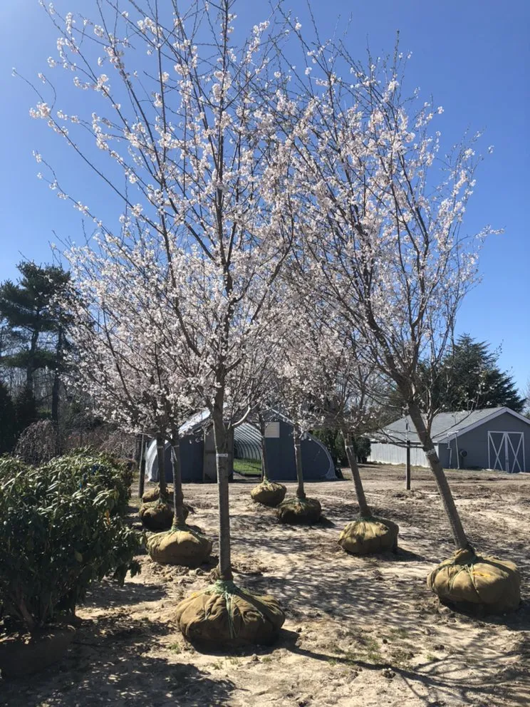 Local outdoor landscaping in Shelter Island, NY - Green World Solutions