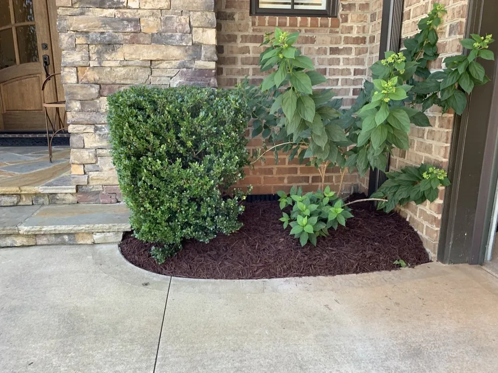 Reliable lawn mowing service in Laurens, SC - Green X Landscaping