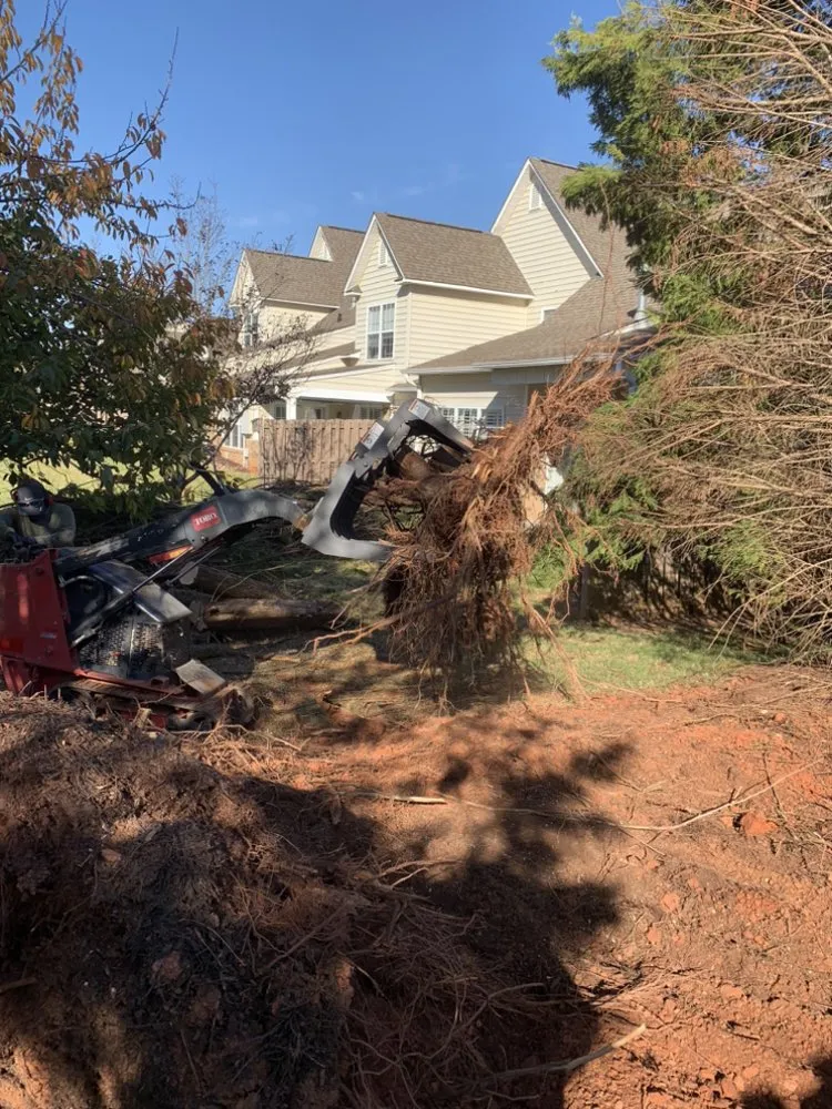 Custom landscaping services in Laurens, SC by Green X Landscaping